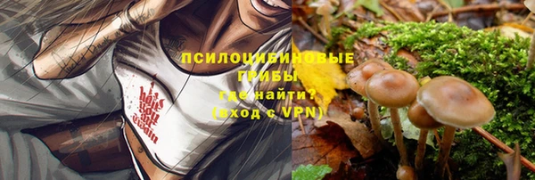 спиды Краснослободск