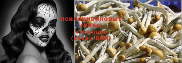 спиды Краснослободск