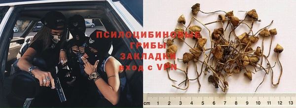 спиды Краснослободск