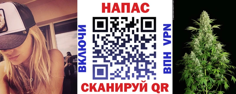 Конопля план Ессентукская